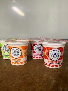 WELSH MIXED L,OW FAT YOGHURTS 